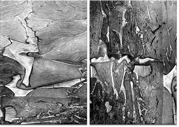 dyptyk jako plakaty dwa