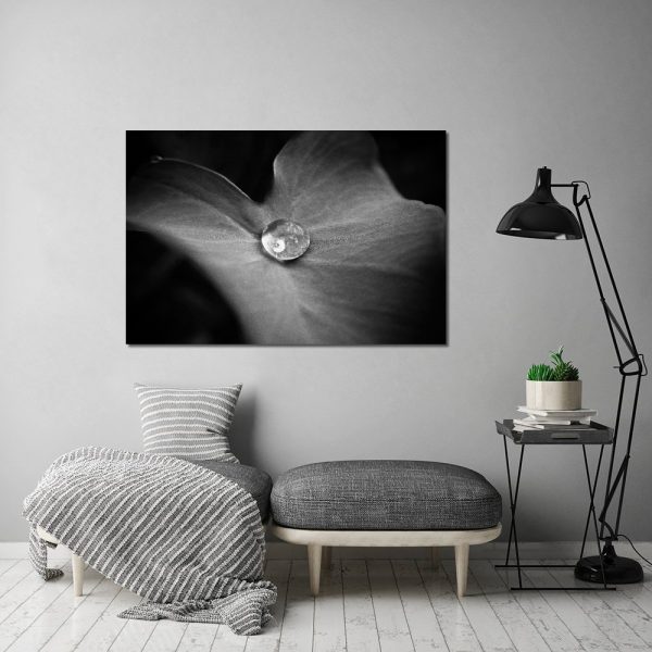 kropla wody na czarno-białym obrazie