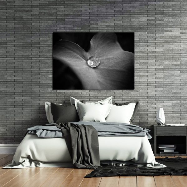 biało-czarny plakat poziomy z liściem