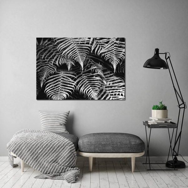 plakat czarno-biały z paprotką