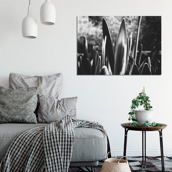 palakt z motywem liści czarno-białych