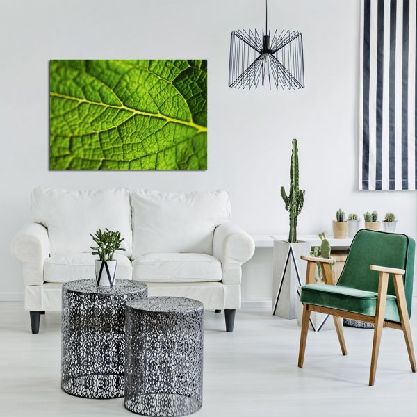 liść makro na plakacie