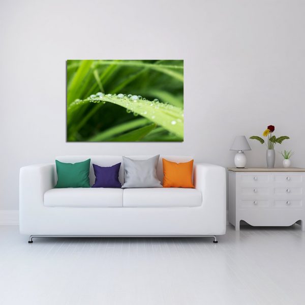 krople wody na trawie jako plakat