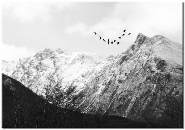 poziomy plakat z motywem góry