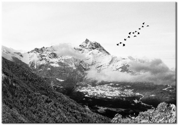 plakaty czarno-białe