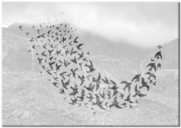 biało-czarny plakat z motywem gór