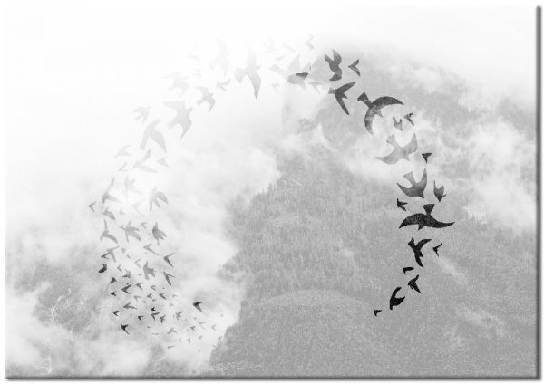 ptaki nad lasem jako plakat