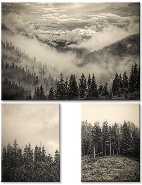 sepia jako trzy plakaty