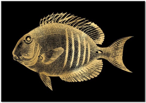 motyw ryby złotej na plakacie