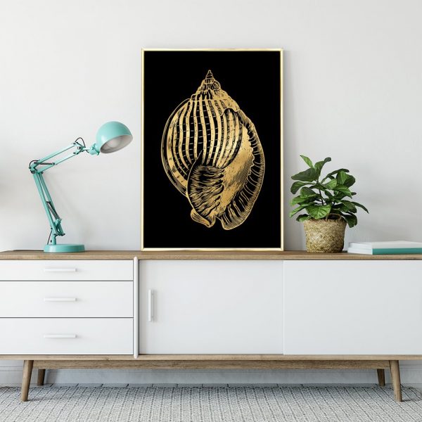 muszla na plakacie