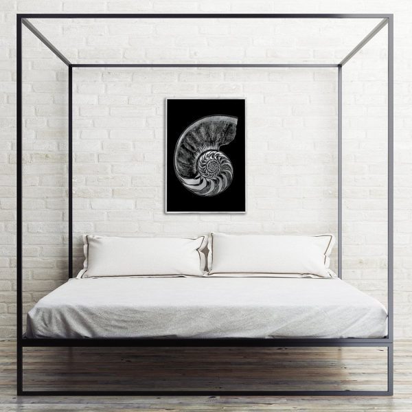 plakat z motywem muszelki