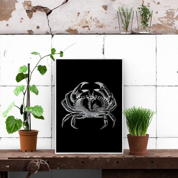 plakat jako srebrny krab