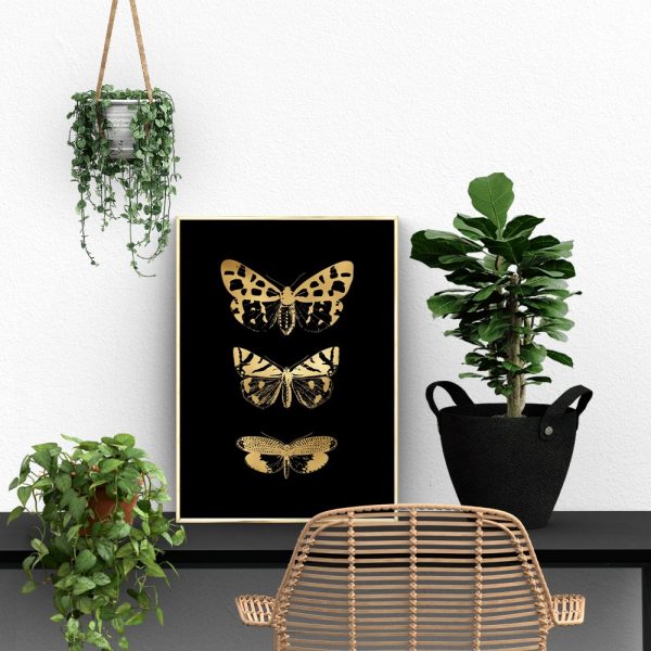 trzy motylki jako ozdoba na plakacie