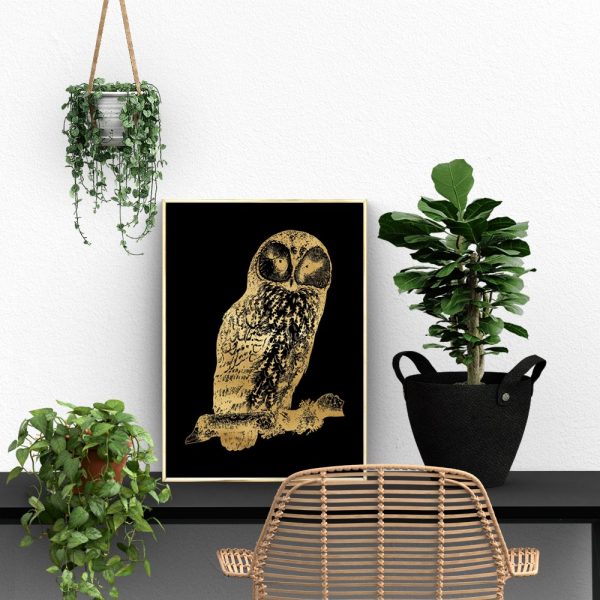 sowa na plakacie złota
