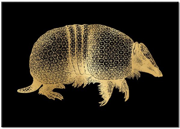 pancernik jako dekoracja