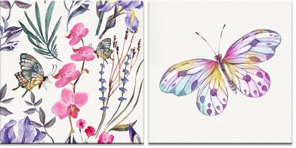 plakat z kolorowym motylem
