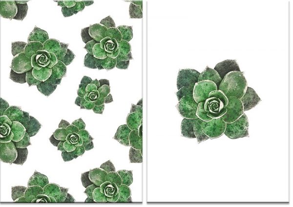 plakaty ze skalniakami