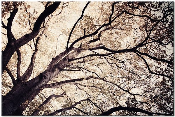 Obraz do dekoracji sypialni