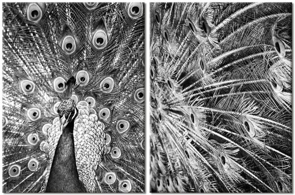 Podwójny obraz do salonu