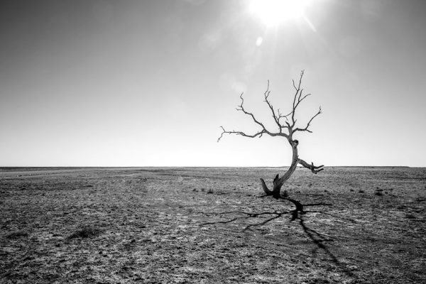 Fototapeta z motywem pustyni