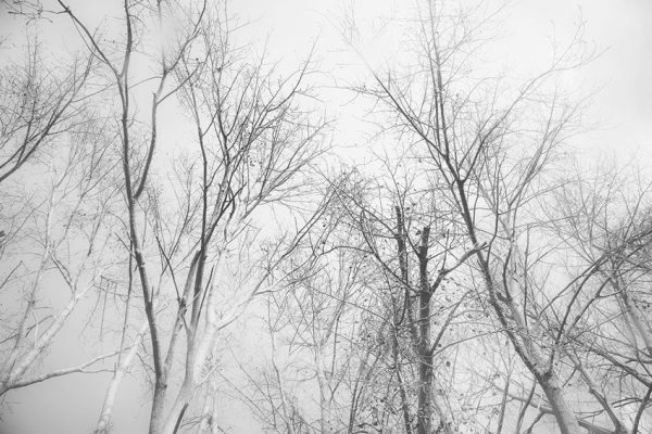 Fototapeta czarno biała