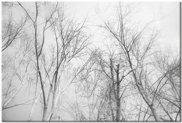 Obraz na ścianę do sypialni