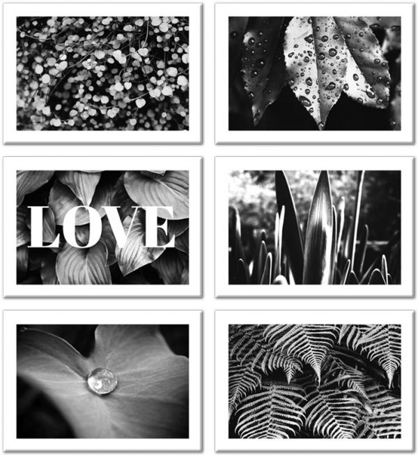 Zestaw sześciu plakatów z liściastym motywem