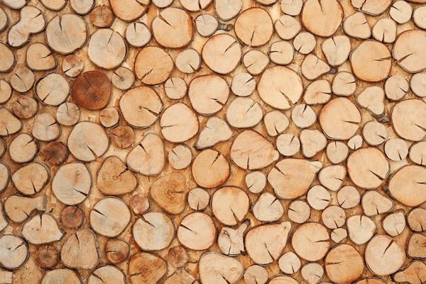 Fototapeta pomarańczowa do dekoracji salonu