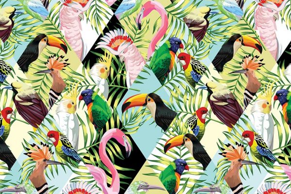 tapeta z tropikami i flamingami