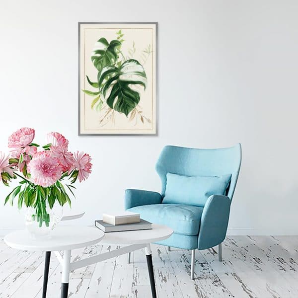 monstera na plakacie