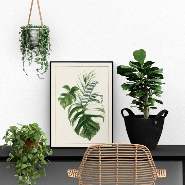 plakat botaniczny