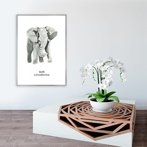 plakat ze słoniem