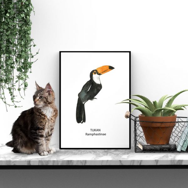 motyw tukana na plakacie