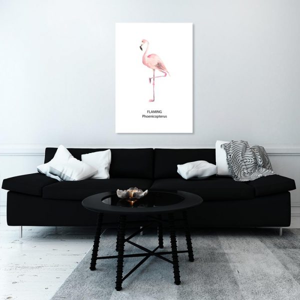 plakat z flamingiem