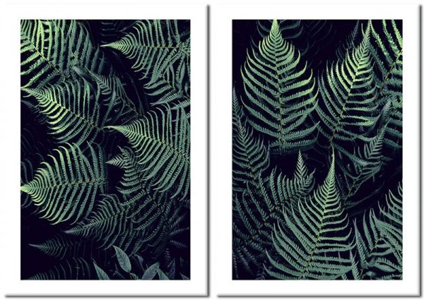 motyw paproci jako plakaty