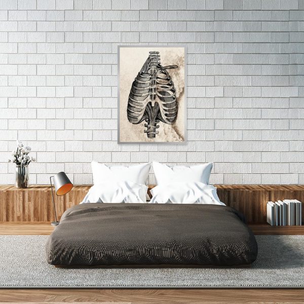 Plakat anatomiczny do sypialni