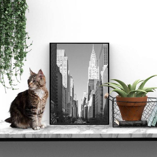 Plakat czarno-biały do salonu