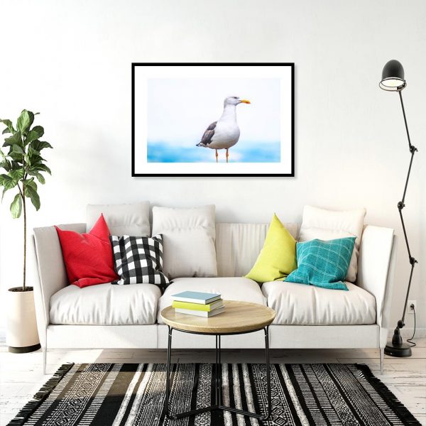 Plakat mewa na tle morza