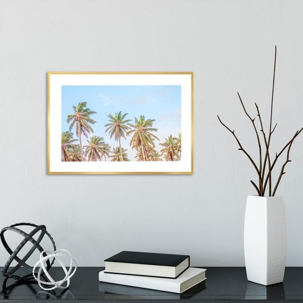 Plakat palmy
