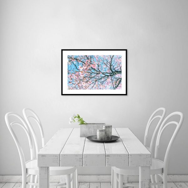 Plakat kwitnące drzewo