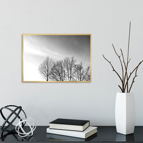 Plakat z drzewami