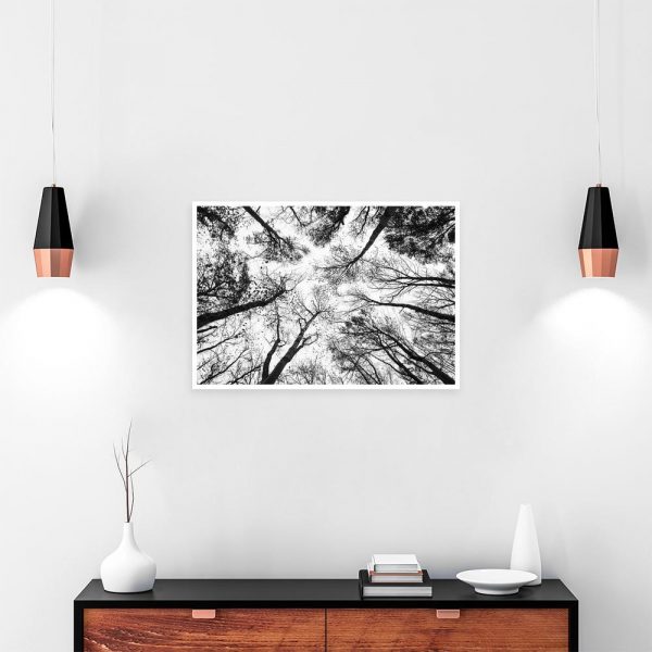 Czarno-biały plakat drzewa