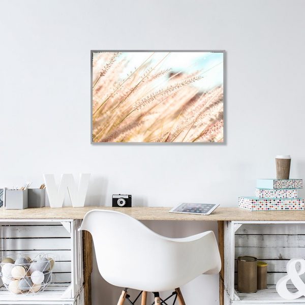 Plakat rośliny łąkowe