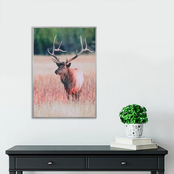 Plakat z motywem jelenia