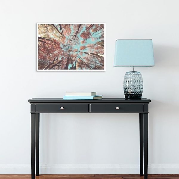 Plakat kolorowe drzewa