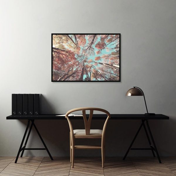 Plakat drzewa jesień