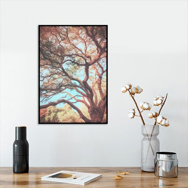 Plakat drzewo
