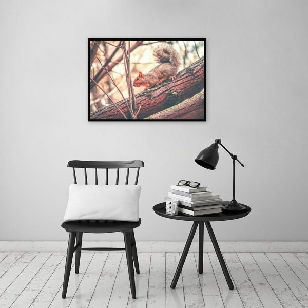 Plakat z motywem wiewiórki