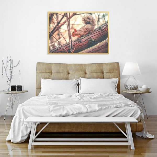 Plakat z wiewiórką