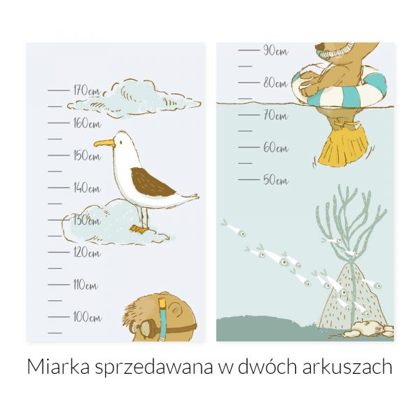Miarka wzrostu mewa i miś